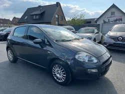 Grau Gebraucht 2017 Fiat Punto Kleinwagen | 3.650 € (Superpreis)