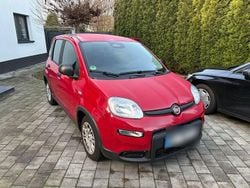 Rot Gebraucht 2024 Fiat Panda Kleinwagen | 13.000 € (Guter Preis)