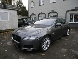 Grau Gebraucht 2016 Jaguar XF Portfolio Limousine | 13.950 € (Superpreis)