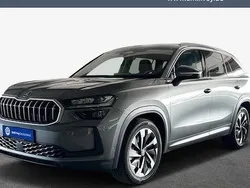 Grau Gebraucht 2024 Skoda Kodiaq Selection SUV | 46.990 € (Fairer Preis)