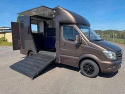 Braun Gebraucht 2014 Mercedes Sprinter Van | 43.911 €