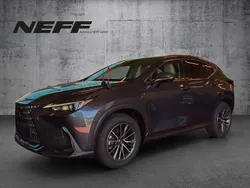 Sonic grey Neu 2024 Lexus NX350h Executive Line SUV | 46.990 € (Superpreis)