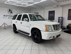 Weiß Gebraucht 2004 Cadillac Escalade SUV | 6.970 € (Superpreis)