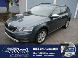 Grau metallic Gebraucht 2019 Skoda Octavia Scout 4x4 Kombi | 31.990 €