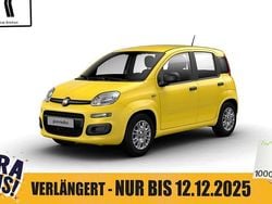 Positano gelb Neu 2025 Fiat Panda S | 13.950 € (Guter Preis)
