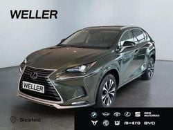 Gruen Gebraucht 2021 Lexus NX300h SUV | 32.680 € (Fairer Preis)