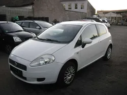 Weiß Gebraucht 2009 Fiat Punto Kleinwagen | 2.500 € (Fairer Preis)