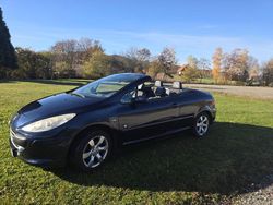 Blau Gebraucht 2009 Peugeot 307 CC Cabrio | 3.500 € (Etwas zu teuer)