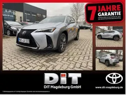 Iridiumsilber Neu 2025 Lexus UX 300h Sport Design Packet SUV | 38.690 € (Guter Preis)