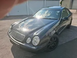 Schwarz Gebraucht 1999 Mercedes CLK320 Coupé | 1.599 € (Fairer Preis)