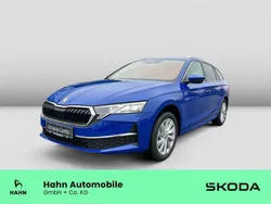 Blau Gebraucht 2024 Skoda Octavia Selection Kombi | 40.890 € (Superpreis)