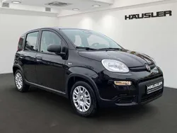 Cinema schwarz Gebraucht 2024 Fiat Panda Kleinwagen | 14.870 € (Fairer Preis)