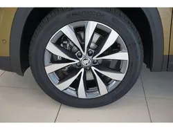 Bronze Neu 2024 Skoda Kodiaq Selection SUV | 53.450 € (Etwas zu teuer)
