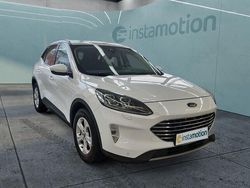 Weiß Gebraucht 2021 Ford Kuga Titanium X SUV | 23.630 € (Etwas zu teuer)