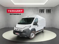 Weiss (pastell)) (weiss Neu 2025 Fiat Ducato Van | 34.495 € (Etwas zu teuer)
