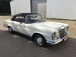 Weiß Gebraucht 1966 Mercedes 250 SE Cabrio | 95.000 €