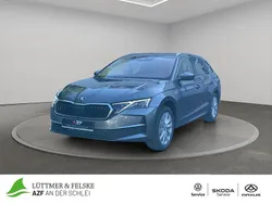 Grau Gebraucht 2024 Skoda Octavia Selection Kombi | 29.990 € (Guter Preis)