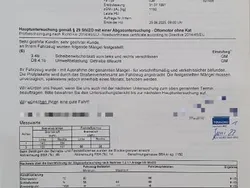 Grün Gebraucht 1991 Seat Marbella Kleinwagen | 3.500 €