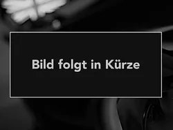 Grau Gebraucht 2018 BMW 525 Sport Line Limousine | 18.990 € (Guter Preis)