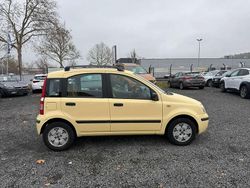 Gelb Gebraucht 2006 Fiat Panda Dynamic Kleinwagen | 2.900 € (Teuer)