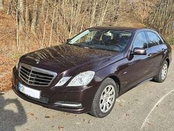 Braun Gebraucht 2012 Mercedes E220 Limousine | 9.999 € (Guter Preis)
