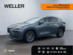 Grau Gebraucht 2025 Lexus NX450h+ E-FOUR Executive Line SUV | 49.980 €