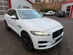 Yulong white Gebraucht 2018 Jaguar F-Pace Pure SUV | 16.499 €