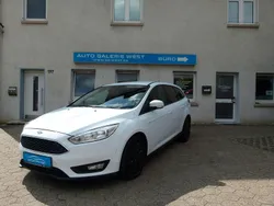 Weiß Gebraucht 2016 Ford Focus Business Edition Kombi | 7.490 € (Guter Preis)