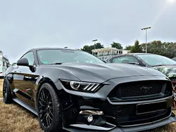 Schwarz Gebraucht 2017 Ford Mustang GT ST Coupé | 39.000 € (Etwas zu teuer)