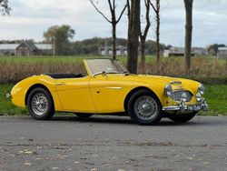 Gelb Gebraucht 1957 Austin Healey 100/6 Cabrio | 32.500 €