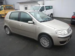 Gold Gebraucht 2009 Fiat Punto Kleinwagen | 1.450 €
