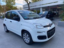 Weiß Gebraucht 2014 Fiat Panda Kleinwagen | 3.499 € (Etwas zu teuer)