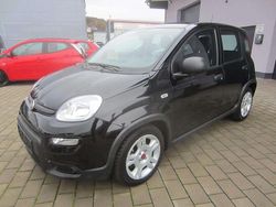 Schwarz Gebraucht 2024 Fiat Panda Comfort Limousine | 11.700 € (Fairer Preis)
