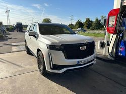 Weiß Gebraucht 2025 Cadillac Escalade SUV | 100.250 € (Fairer Preis)