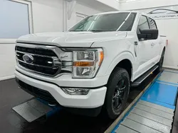Weiss Gebraucht 2021 Ford F-150 XLT Abholung | 39.990 € (Etwas zu teuer)