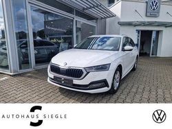 Weiß Gebraucht 2020 Skoda Octavia First Edition Kombi | 19.480 € (Fairer Preis)