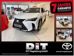 Fujiweiß Neu 2025 Lexus UX 300h Sport Design Packet SUV | 38.990 € (Guter Preis)