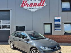 Grau Gebraucht 2019 VW Golf VII Comfortline Kombi | 12.990 € (Fairer Preis)