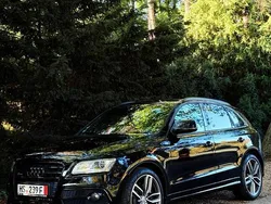 Schwarz Gebraucht 2016 Audi SQ5 Black Edition SUV | 24.500 € (Fairer Preis)