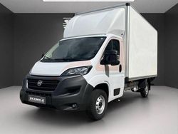 Weiss Gebraucht 2021 Fiat Ducato Van | 29.900 €