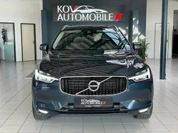 Blau Gebraucht 2020 Volvo XC60 Momentum SUV | 24.900 € (Superpreis)