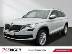 Moon weiss perleffekt met. Gebraucht 2021 Skoda Kodiaq Style SUV | 35.880 € (Etwas zu teuer)
