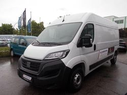 Weiß Gebraucht 2024 Fiat Ducato Van | 36.980 €