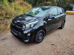 Schwarz Gebraucht 2024 Kia Picanto Vision Kleinwagen | 12.890 € (Guter Preis)