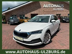 Weiß Gebraucht 2022 Skoda Octavia Style Kombi | 22.900 € (Superpreis)