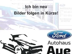 Grau Gebraucht 2020 Ford Tourneo Custom Titanium X Van / Kleinbus | 37.990 € (Etwas zu teuer)