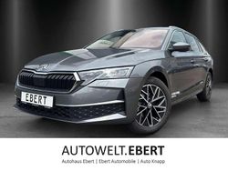 Graphitegrau Gebraucht 2024 Skoda Octavia Exclusive Kombi | 38.990 € (Teuer)