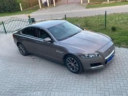 Grau Gebraucht 2016 Jaguar XF Prestige Limousine | 13.900 € (Fairer Preis)