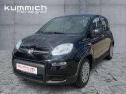 Schwarz Gebraucht 2024 Fiat Panda Kleinwagen | 16.590 € (Teuer)
