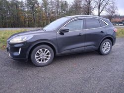 Schwarz Gebraucht 2021 Ford Kuga SUV | 21.850 € (Fairer Preis)